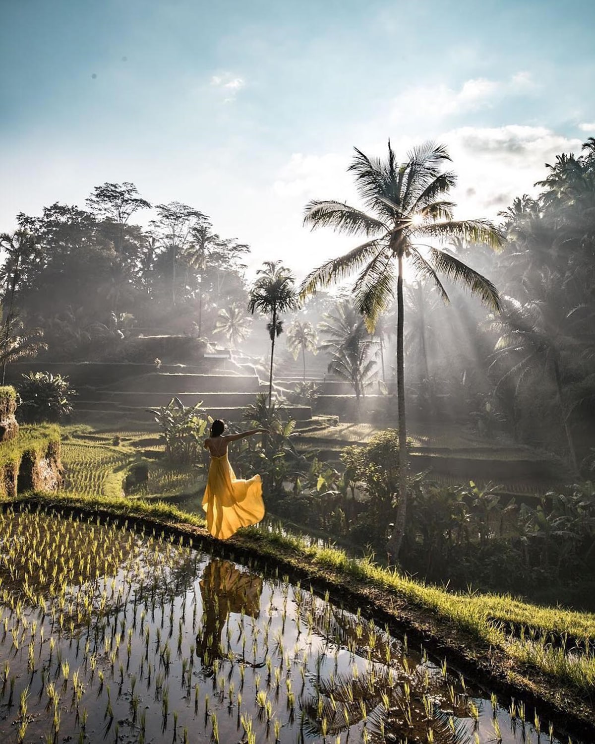 Tegalalang Rice Terraces: Green Abundance in Ubud Tegalalang Rice Terraces: Green Abundance in Ubud