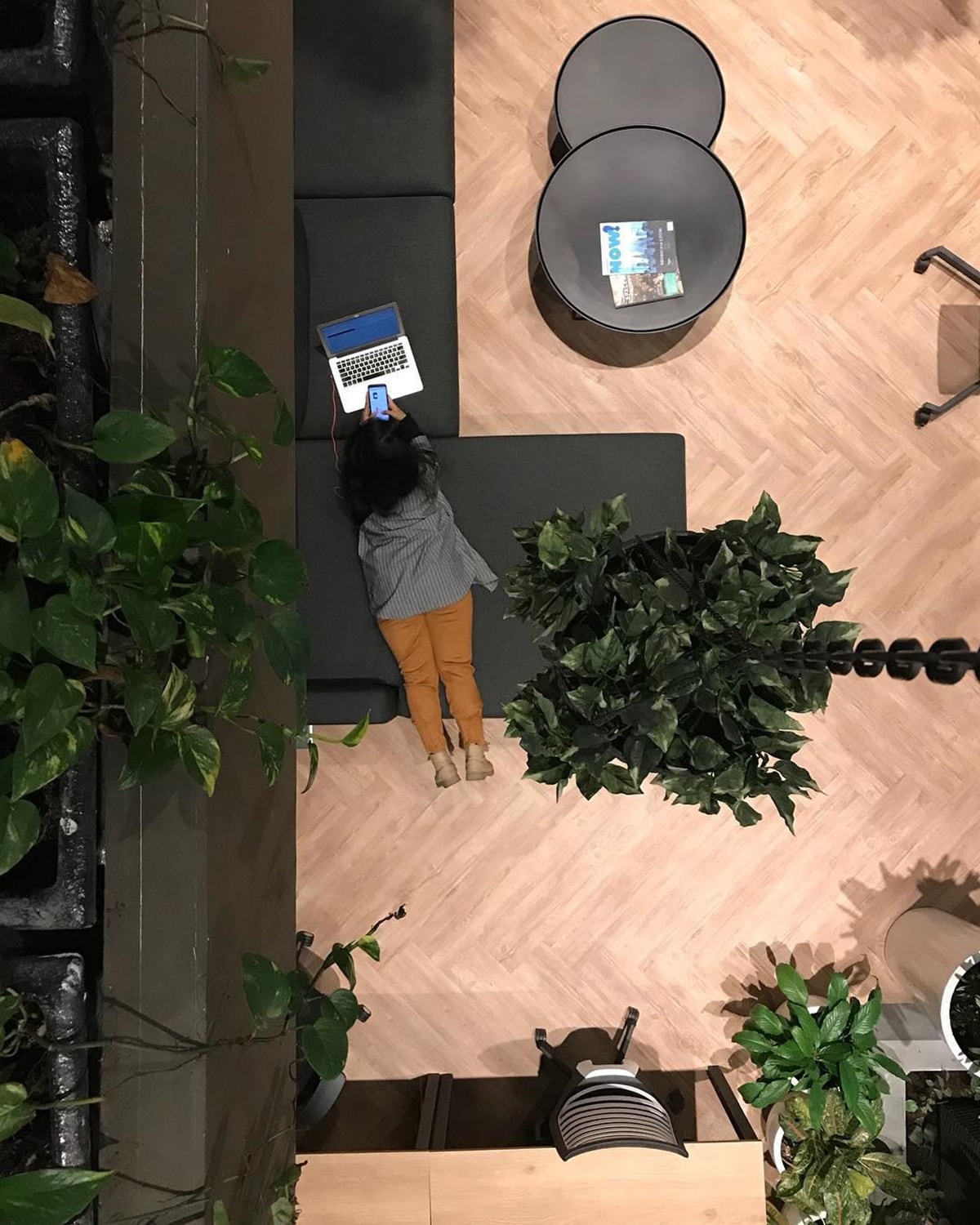 12. Greenhouse: A Spectacular Workspace in the Sky 12. Greenhouse: A Spectacular Workspace in the Sky