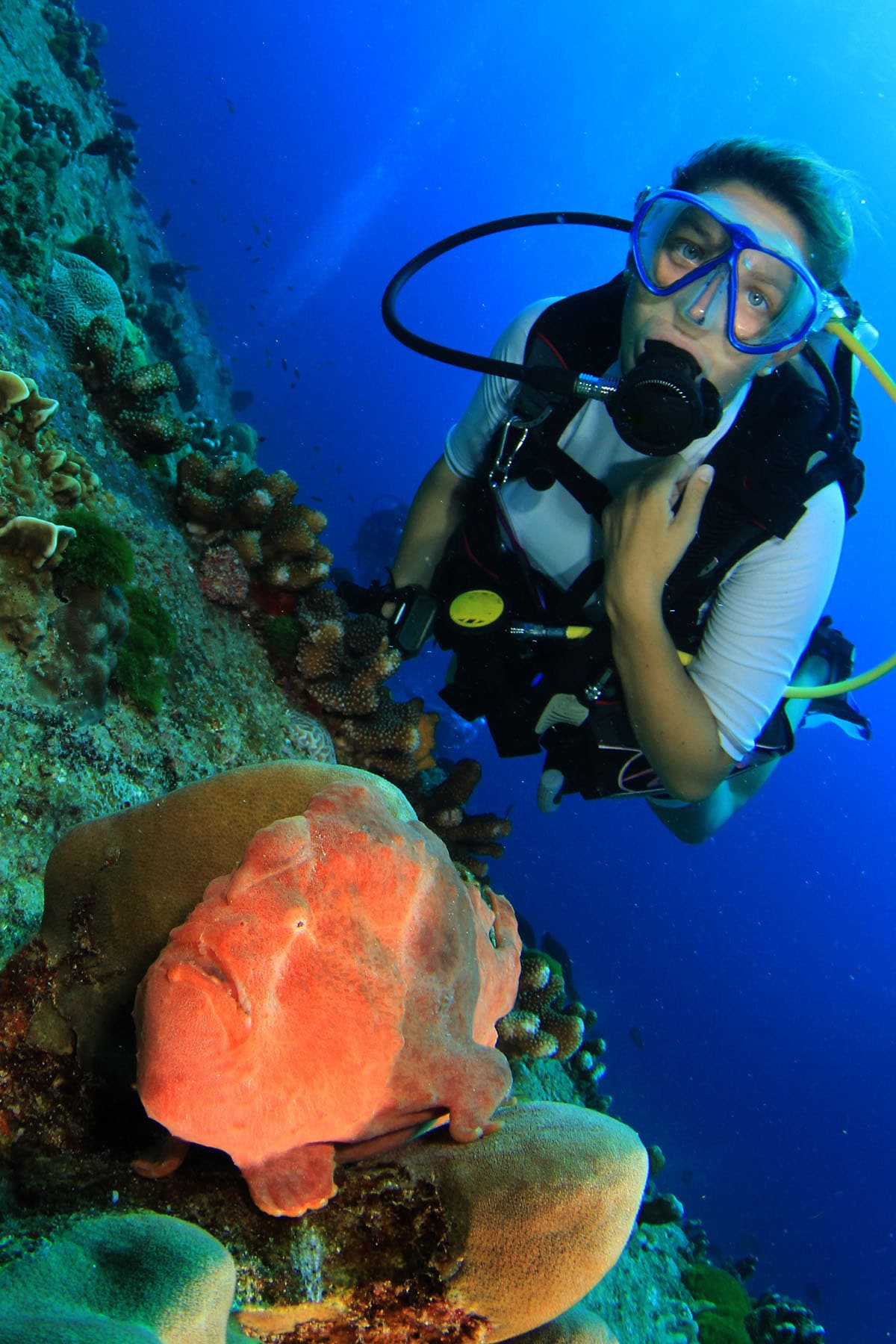 12 Things to do for an Adventure of a Lifetime in Manado