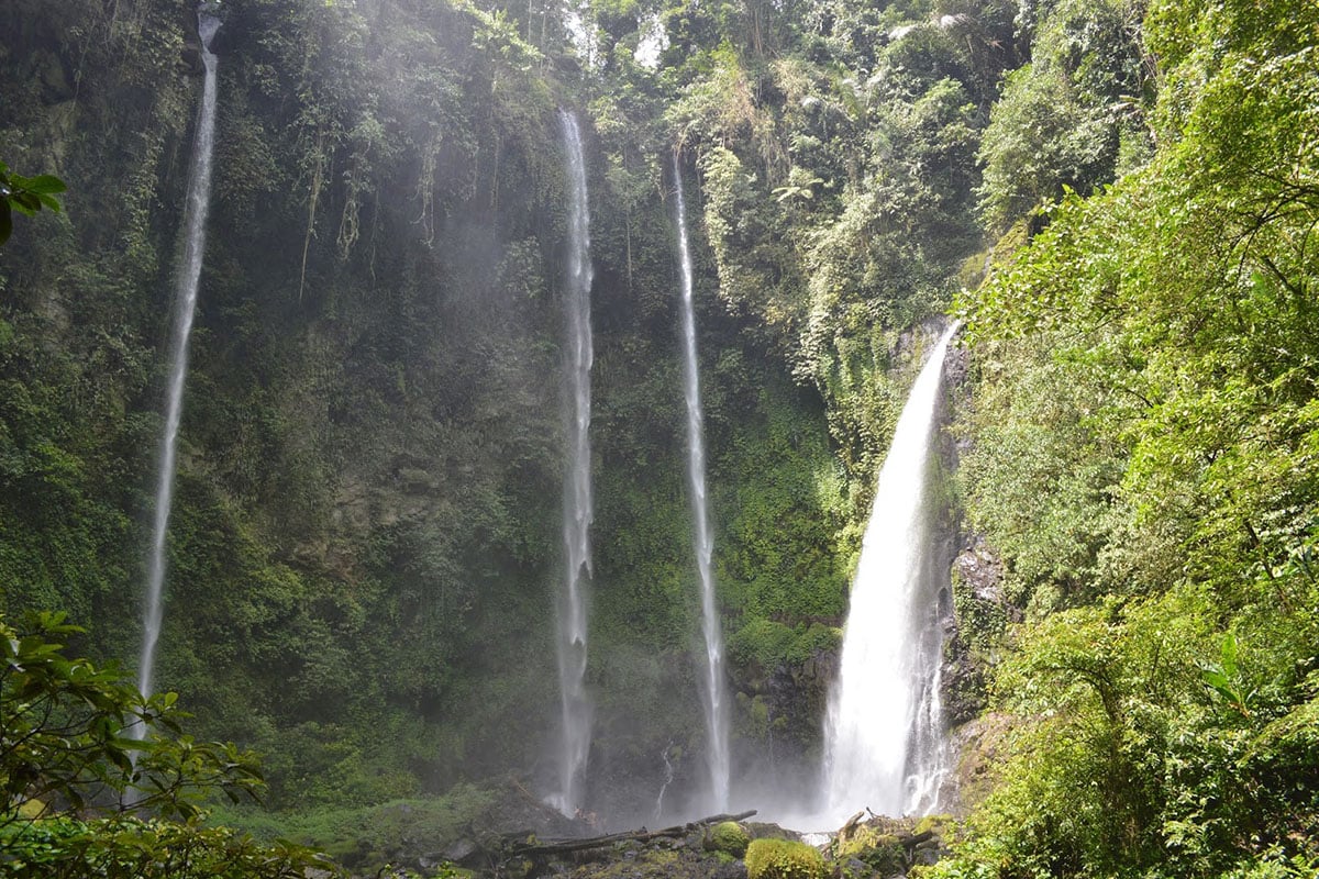 12 Things to do for an Adventure of a Lifetime in Manado