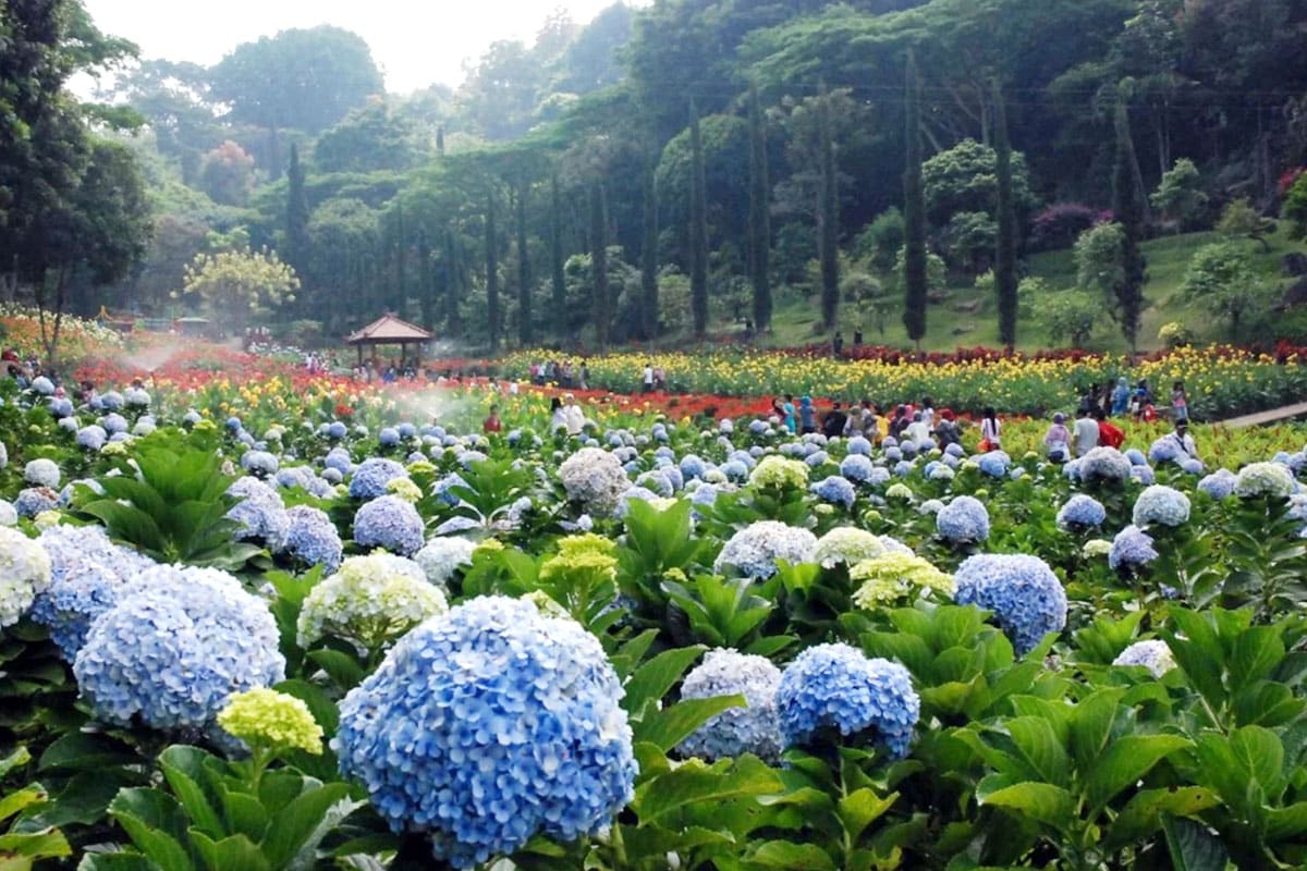 12 Things to do for an Adventure of a Lifetime in Manado