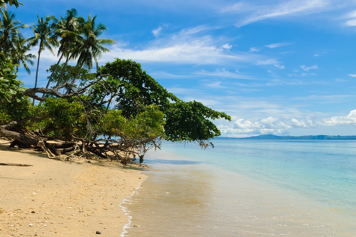 12 Things to do for an Adventure of a Lifetime in Manado