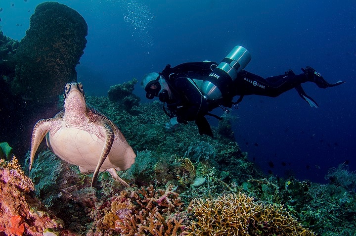 8 Top World Class Diving Resort for You to Enjoy in Indonesia