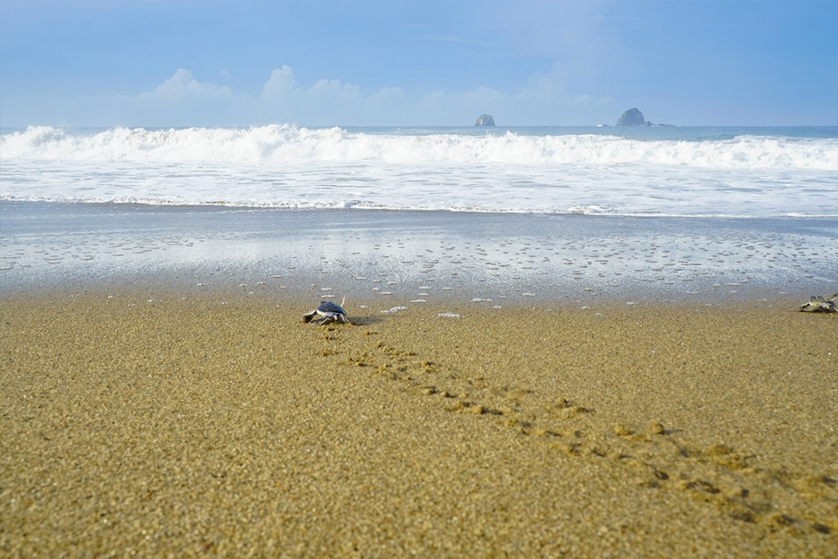 7 Secret Beaches in Banyuwangi That Will Leave You Awestruck