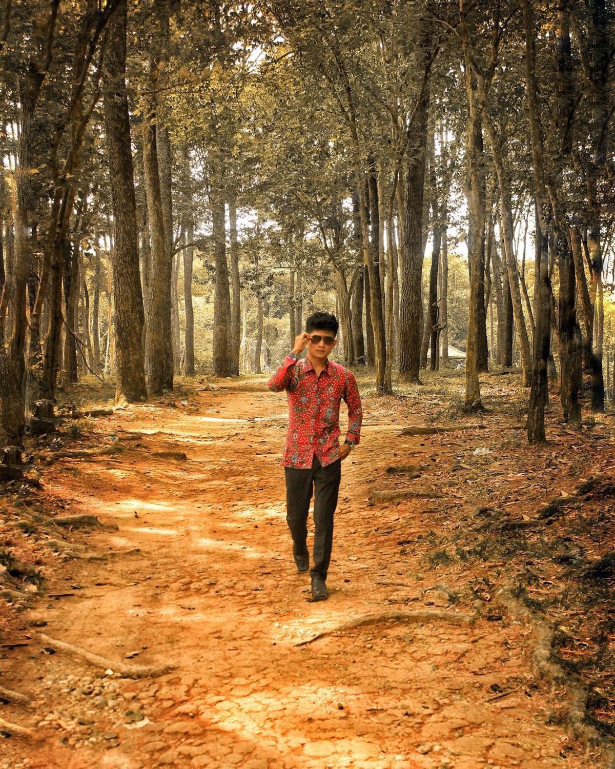 Enjoy the City Forest of Punti Kayu: A Green Oasis in Palembang Enjoy the City Forest of Punti Kayu: A Green Oasis in Palembang