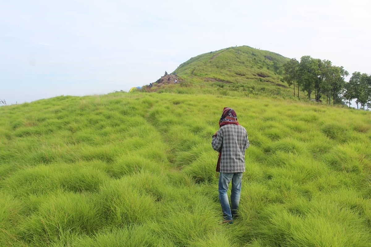 Wander to Bukit Besak: An Ascent to Serenity Wander to Bukit Besak: An Ascent to Serenity