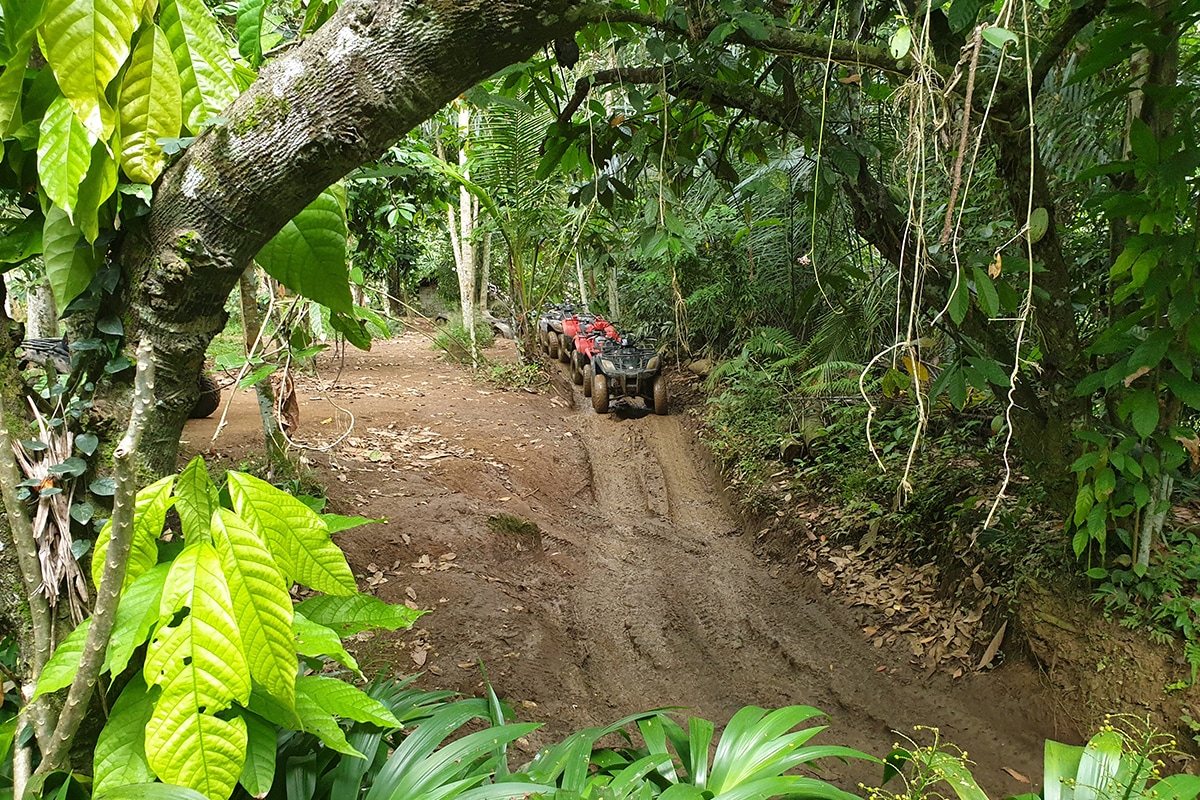 Quad Biking Adventure: Exploring Bali's Lush Landscapes Quad Biking Adventure: Exploring Bali's Lush Landscapes