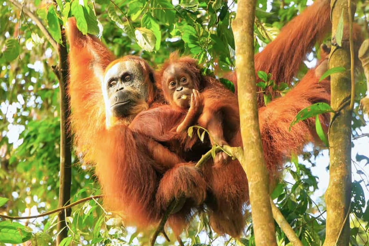 ecotourism